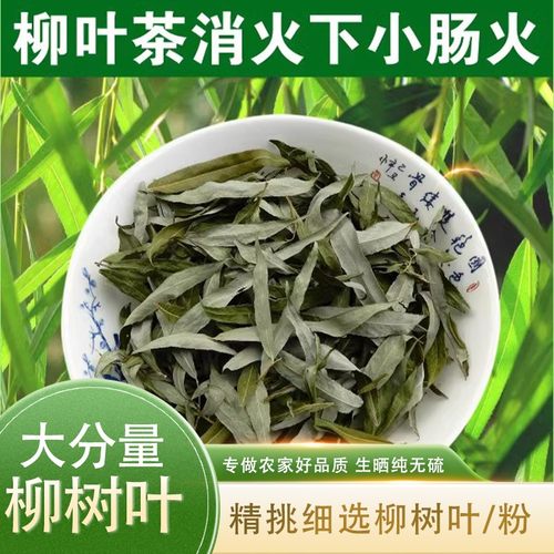 柳树叶茶中药材新鲜干柳叶