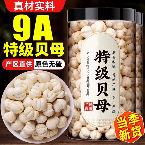正宗浙江贝母中药材浙贝母粉