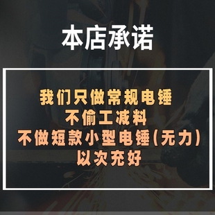 德5105进口德国国莱克仕大功率用电锤电镐电钻工用业级多功能三家