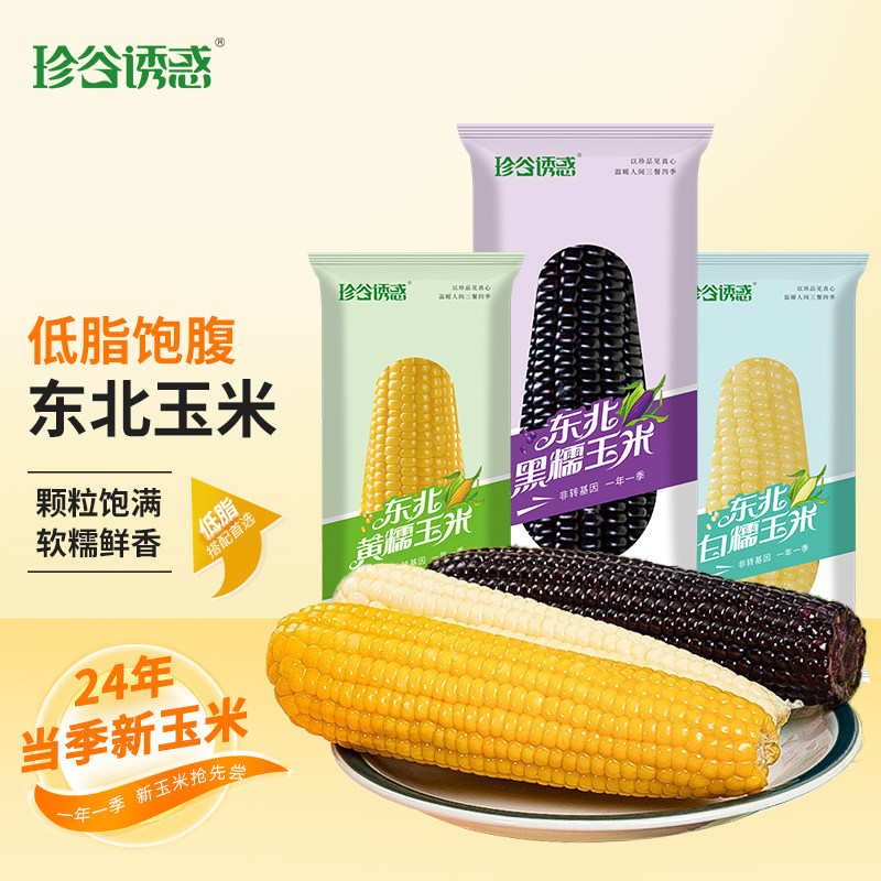 珍谷诱惑东北玉米甜糯香黏粘玉米棒黏玉米粒黄白黑糯玉米真空包装