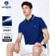 男短袖 翻领POLO衫 Navigare意大利小帆船夏季 休闲T恤菠萝衫 冰丝
