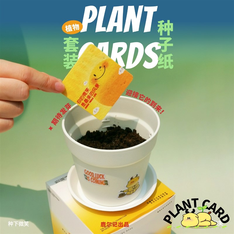 鹿尔记植树节种子纸植物发芽盆栽绿植创意套装礼物企业活动伴手礼