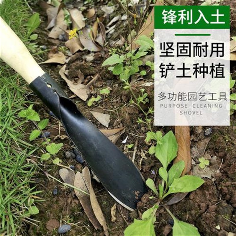 园艺不锈钢小铲子阳台种花工具家用挖野菜神器铲草挖蒜专用铲尖头