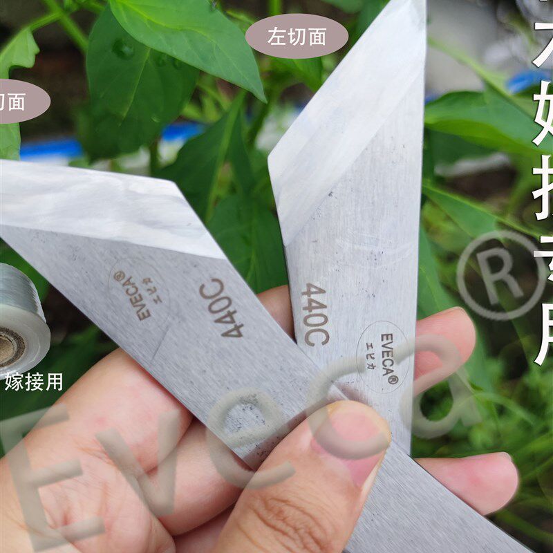 马氏体型440C芽接刀嫁接刀果树园艺苗木嫁接专用工具刀高硬度