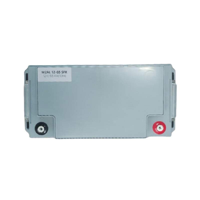 APC梅兰日兰蓄电池M2AL12-65SFR铅酸免维护12V65AH BATT1265MGE