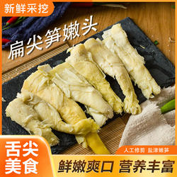 新鲜采挖盐津嫩笋尖笋干营养丰富鲜嫩爽口人工修剪杭州特产