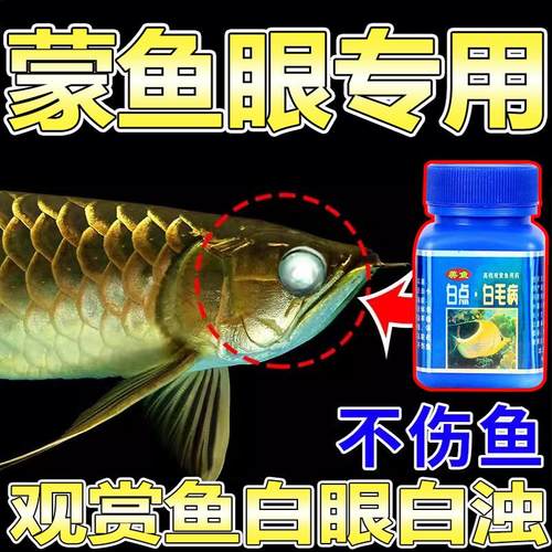 观赏鱼突眼鱼眼病鱼眼睛肿胀充血康复鱼白眼病金鱼龙鱼蒙眼专用药