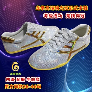 龙拳高端竞技得冠磷光炫彩武术鞋青花瓷蜘蛛纹男女透气太极运动鞋