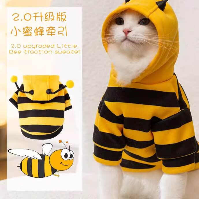 猫咪过冬衣服公猫美短冬季2026新款保暖可爱帅气好看的防掉毛衣服图片