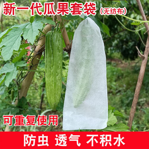 黄瓜丝瓜苦瓜水果防虫套袋无纺布专用青水瓜透气防针蜂水果蝇加长