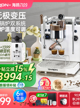 DHRON迪揽DR7109无极变压拨杆意式半自动咖啡机小型商家用奶茶店