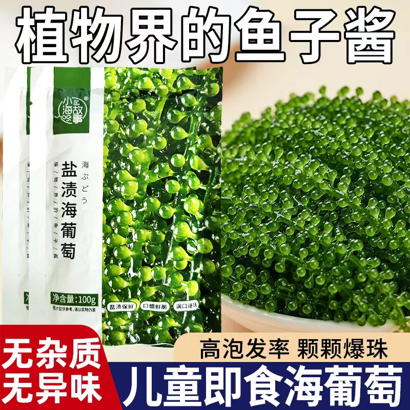 新鲜海葡萄盐渍即食海草海藻海带零食压缩凉拌菜儿童营养健康小吃