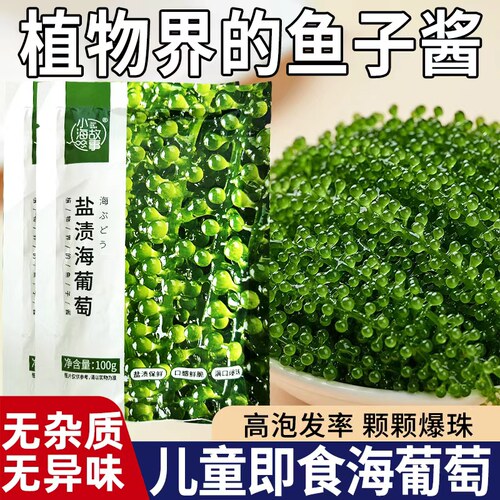 新鲜海葡萄盐渍即食海草海藻海带