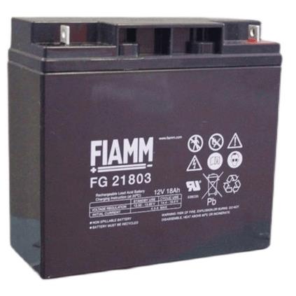 FIAMM蓄电池FG207216V/8A