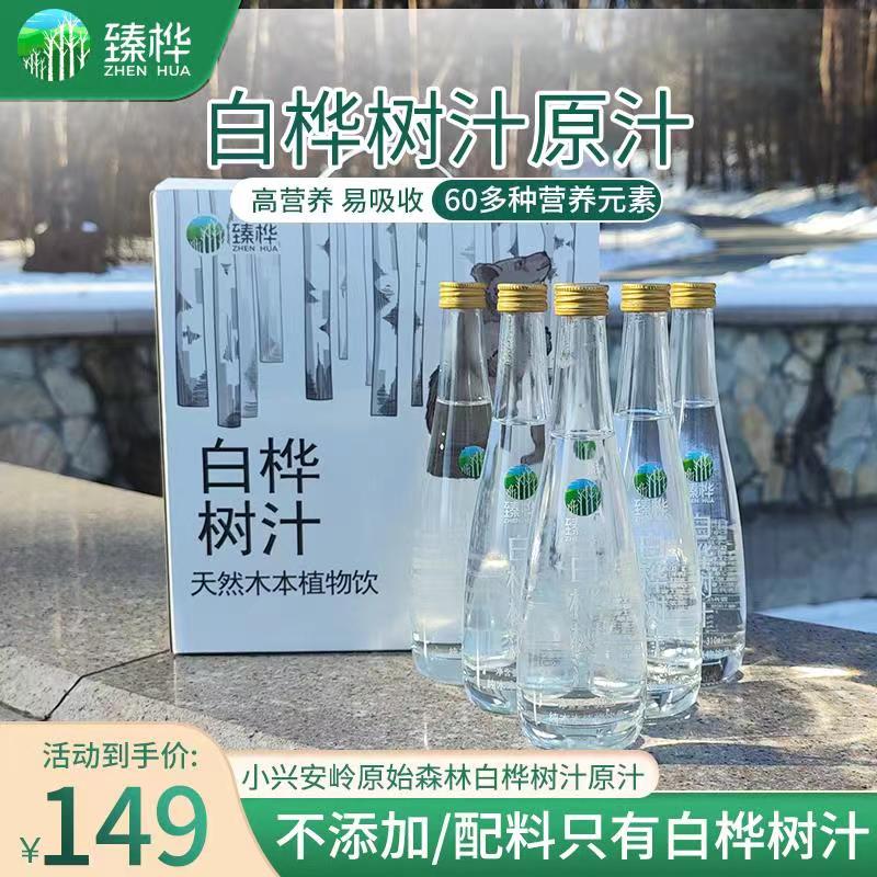 臻桦黑龙江小兴安岭白桦树汁原液原汁植物饮料礼盒310ml*6瓶 咖啡/麦片/冲饮 植物饮料 原图主图