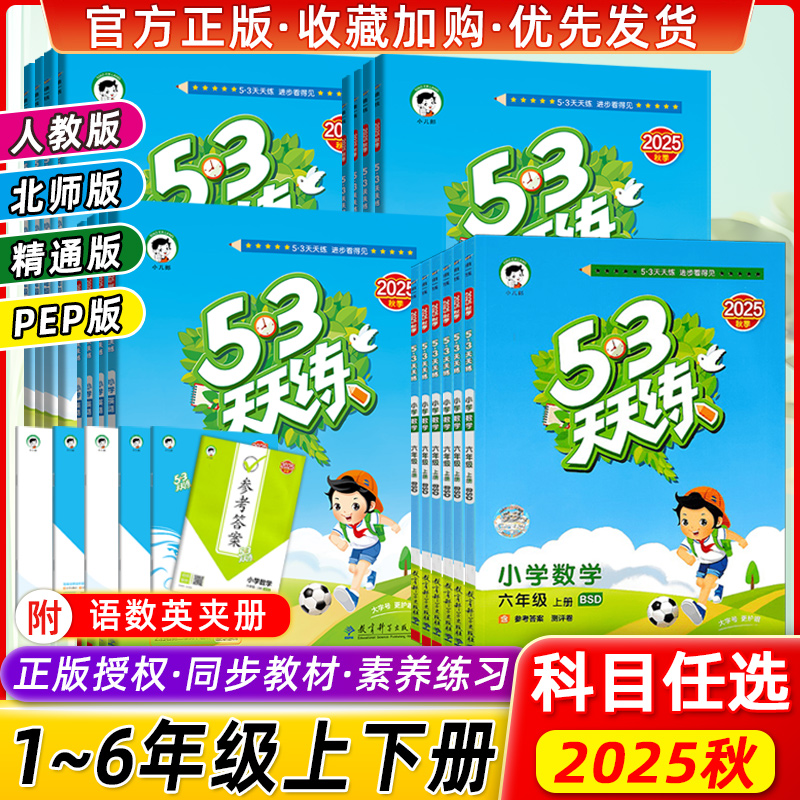 53天天练小学同步训练人教版
