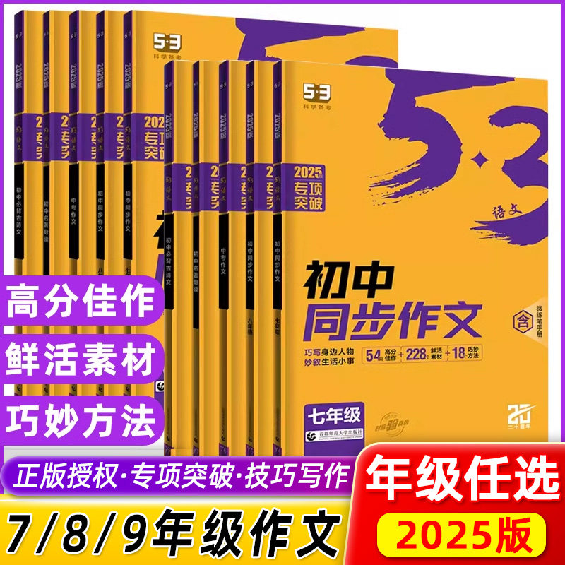 2024版53语文专项训练七八九年级