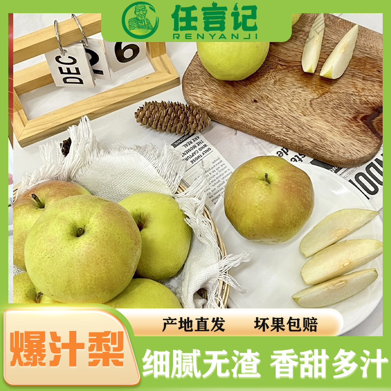 玉露香梨任言记山西特产当季梨子梨