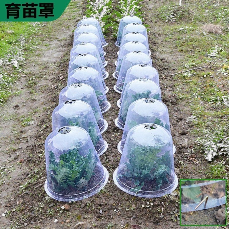 圆形保温罩专用园艺蔬菜育苗加厚塑料透气种植保护幼苗透明保护罩