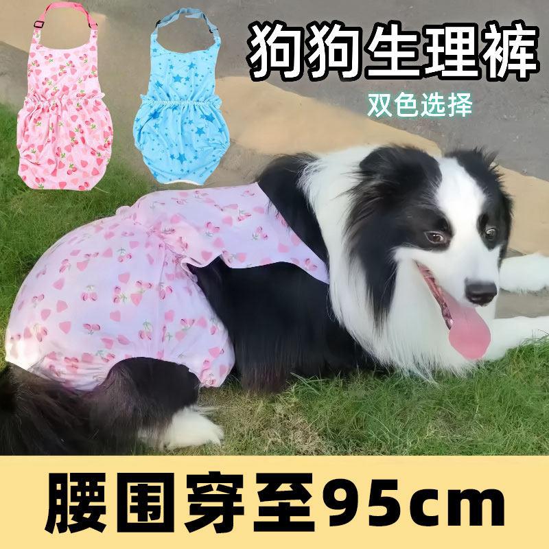 边境牧羊犬狗狗生理裤母狗月经生理期巾例假金毛安全裤发情防交配
