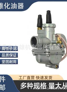 化油器适用于AX100 XIPO RGV120 QJ100-M 二冲程摩托车化油器铃木