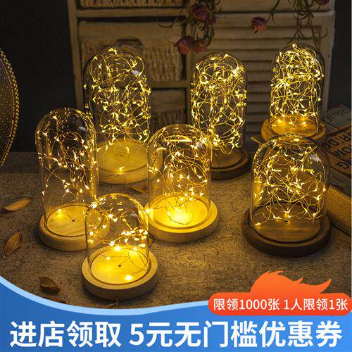 创意电池款火树银花灯防尘发光永生花玻璃罩展示盒带灯LED小夜灯
