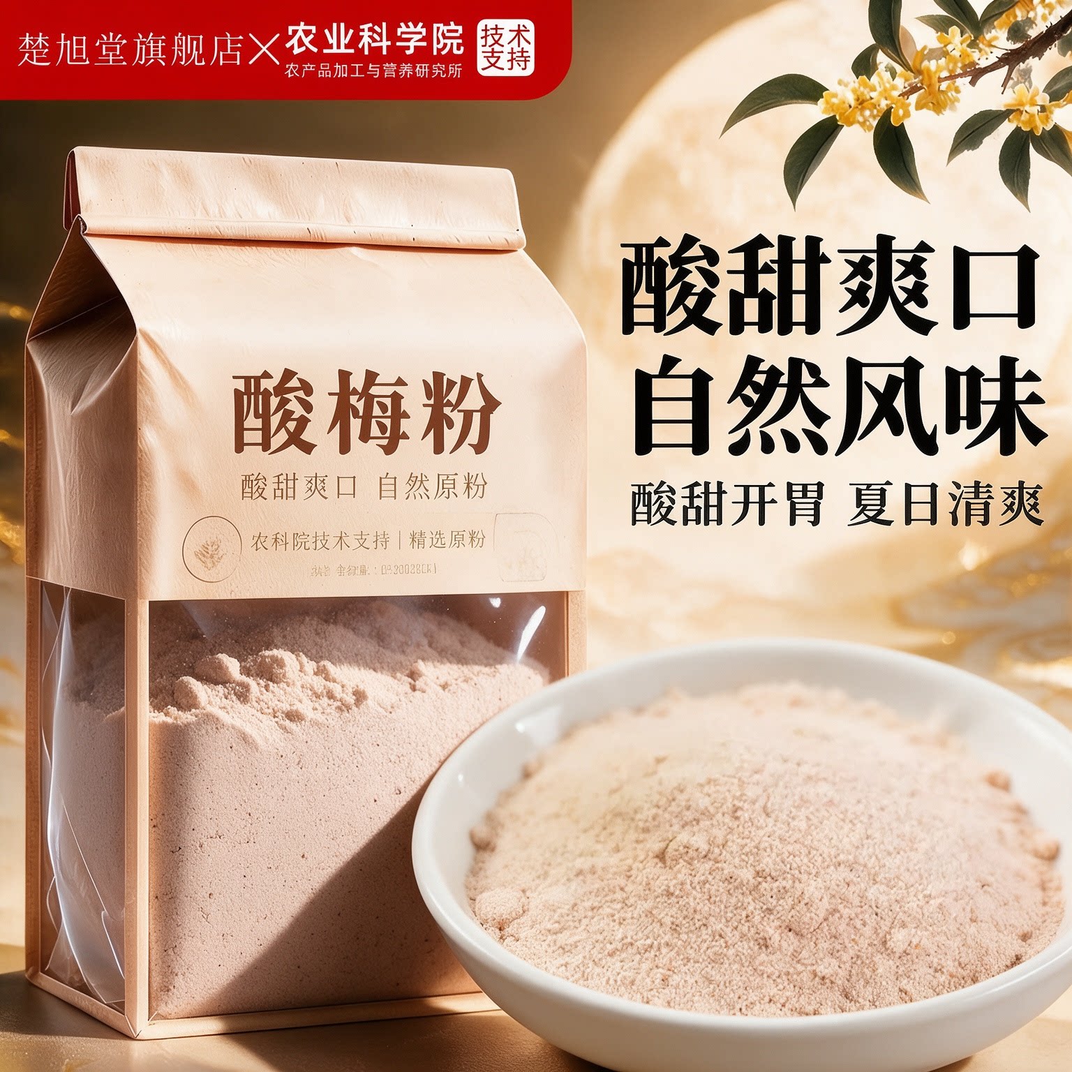 酸梅粉正宗官方旗舰店80后怀旧零食水果专用酸梅粉无添加商用冲饮