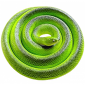 大号软胶蛇仿真蟒蛇竹叶青蛇白蛇传演出道具儿童玩具假蛇动物模型