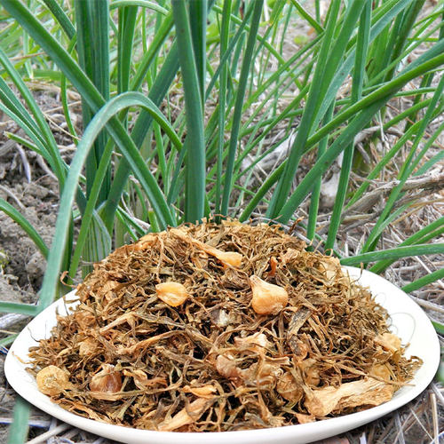 野蒜干野葱干小蒜干安徽宁国特产新货农家自制鲜山货野生梅菜500g