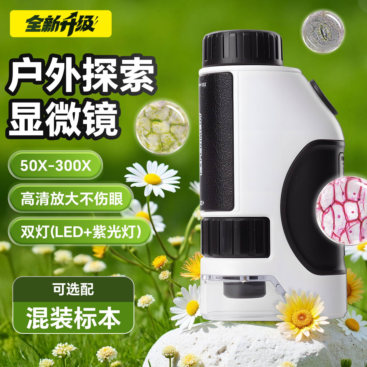 超值小礼物【即将售罄】显微镜图片