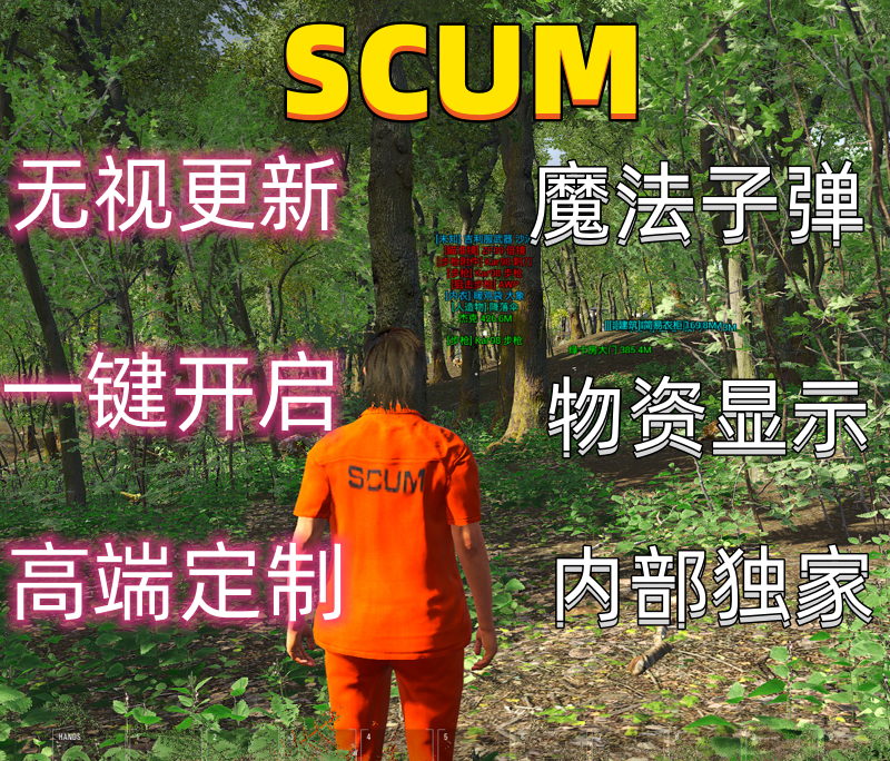 SCUM人渣辅助科技/内部版本/稳定不封/售后无忧/开锁/作者自销