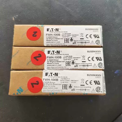 BUSSMANN保险丝FWH-100B