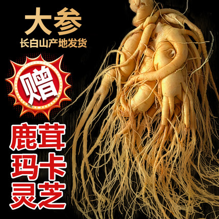 人参长白山人参正宗保鲜参煲汤泡酒用新鲜人参东北特产高龄大参