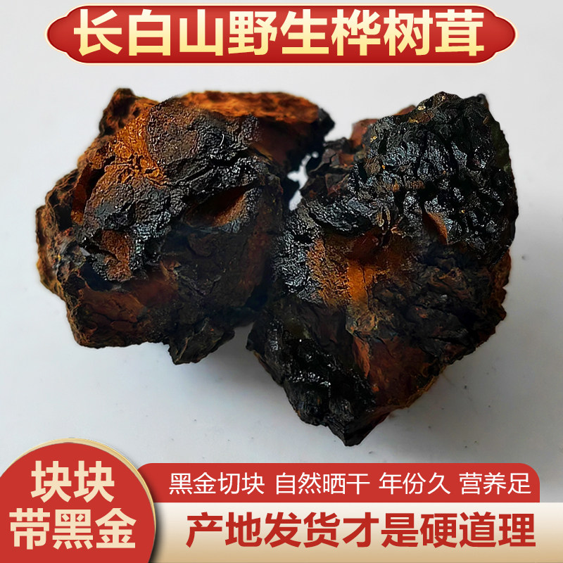 长白山桦树茸黑金中块东北特产