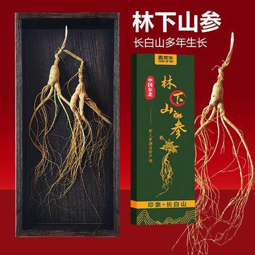 长白山林下参山参礼盒装