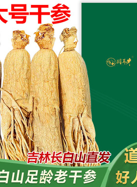 人参老干参长白山人参吉林新鲜干货生晒参东北特产白参大号干参
