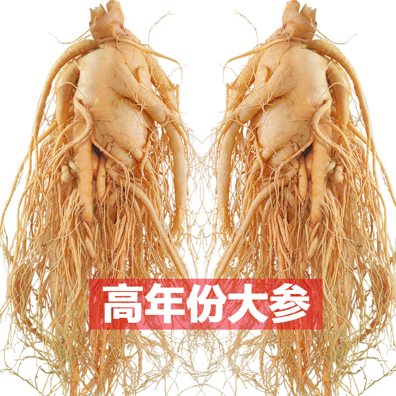 长白山人参煲汤泡酒鲜人参东北特产老参整枝滋补高品质保鲜参