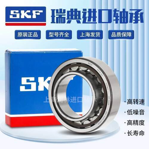 进口SKF轴承NJ 304 305 306 307 308 309 310 311ECP ECM ECJ