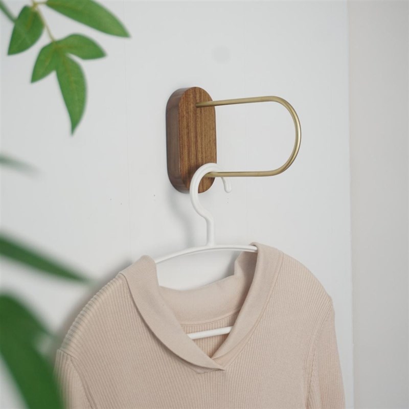 入户衣帽架实木黄铜壁挂衣架隔夜衣服收纳架免打孔次净衣区挂衣杆