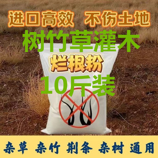 强力除草树王竹子连根除灭根粉高浓度除灌木竹林一扫光不返青