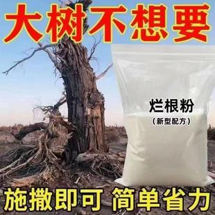 灭树粉烂根剂树烂根王除树根药剂烂根粉强力除树剂树枯死专用药