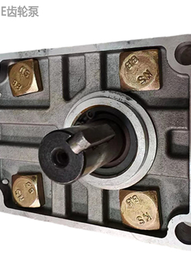 极速厂销齿轮泵CBNF314 CqBNF316 CBNF318 CBNF320 CBNF325 液压