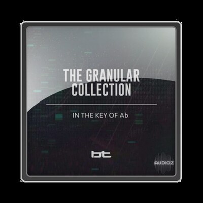 极速BT The Granular oCollection In The Key Of A-Flat WAV-SYN