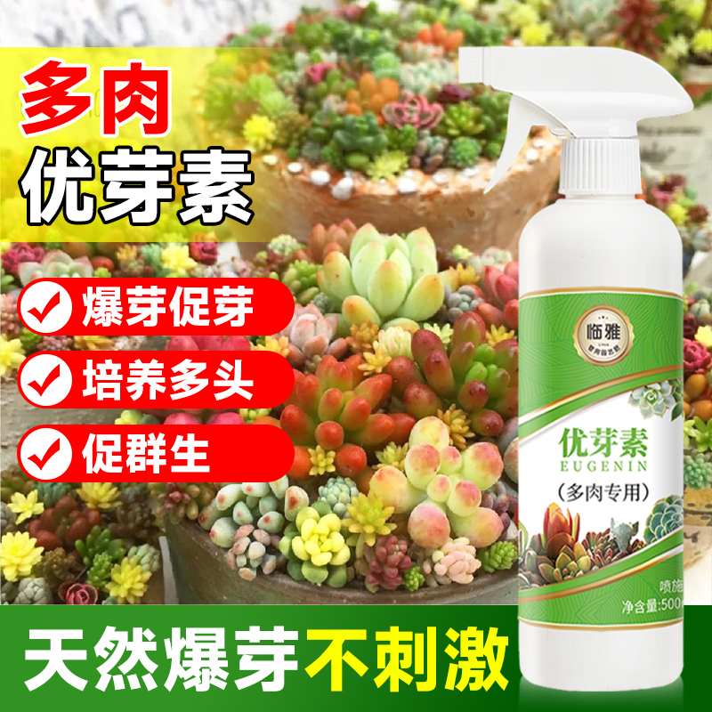 极速优芽素多肉专用促芽营业液肥料绿植物花卉促多头X生长爆芽素