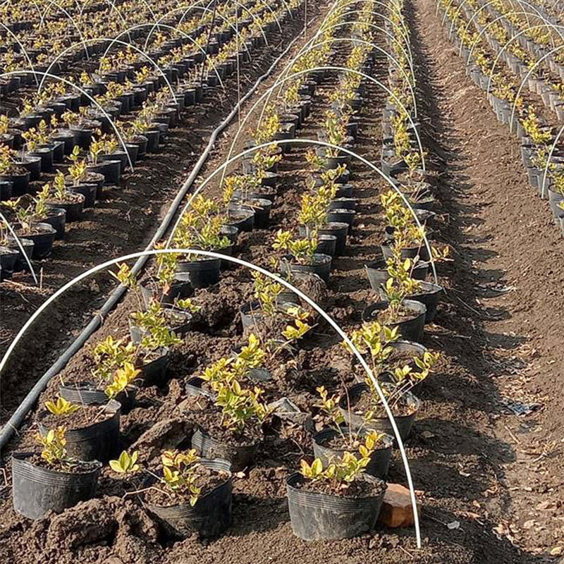 极速菜棚保温棚花棚拱玻纤杆农用小E大拱棚支架纤维棒卷玻璃钢弹