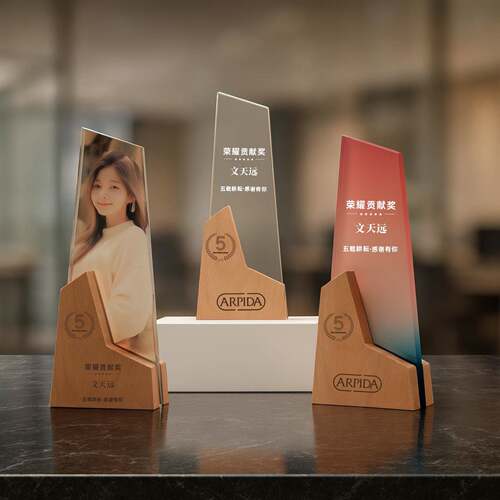 实木水晶奖杯奖牌定制定做创意团队照片人像年会荣誉退休优秀员工