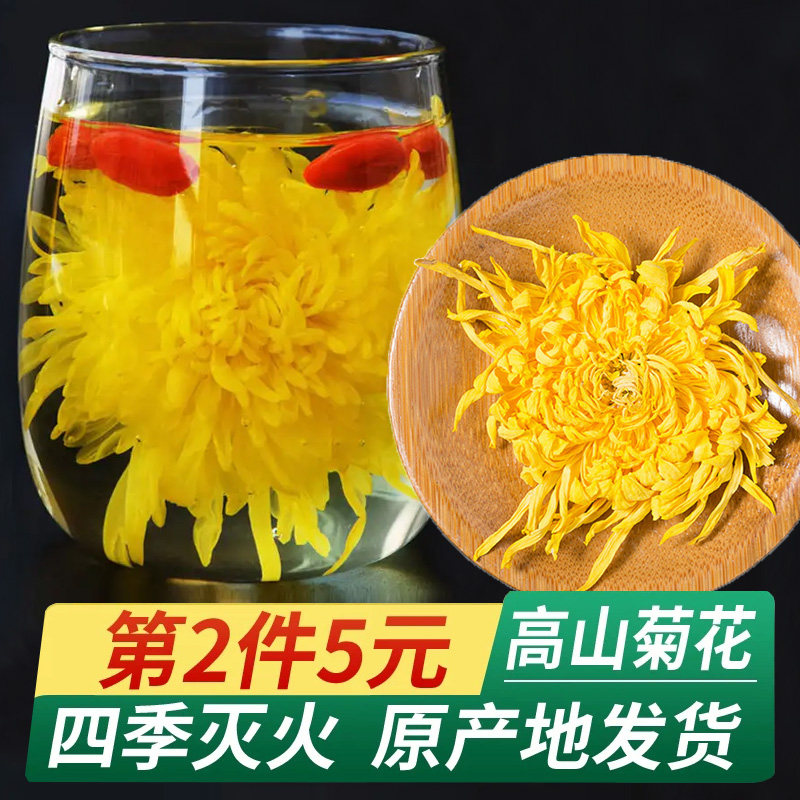 菊花茶菊花金丝皇菊黄菊一朵一杯茶叶花茶贡菊胎菊大去火下火特级