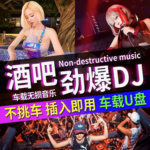 汽车载u盘歌曲高音质车用新款dj抖音9D环绕重低音劲爆音乐优盘
