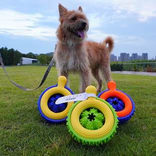 狗玩具榴莲TPR啃咬磨牙神器慢进食绳结球宠物粮食饮水碗宠物玩具