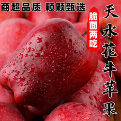 甘肃天水花牛苹果水果10小孩老人新鲜当季红蛇粉面沙脆甜批发